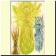 fon02h.html